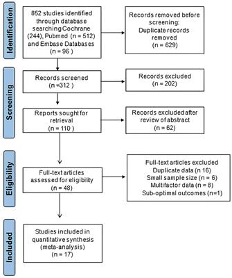 Tinnitus-associated cognitive and psychological impairments: a comprehensive review meta-analysis